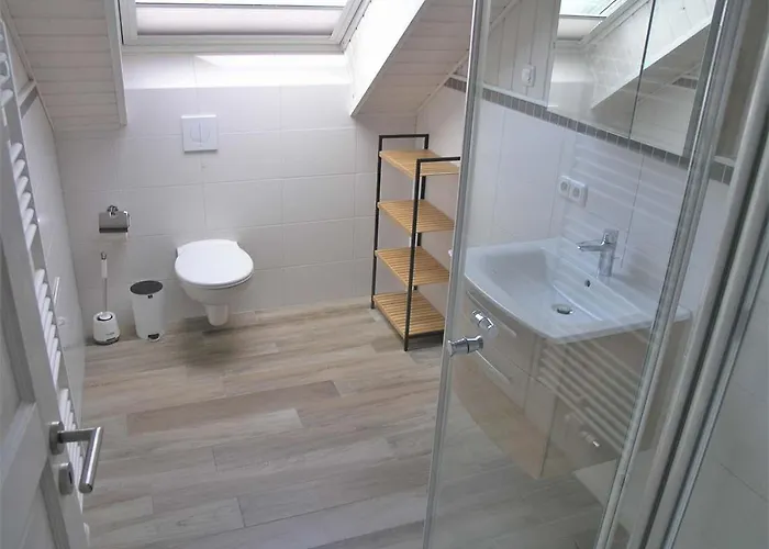 Schwan 312 * ميرو